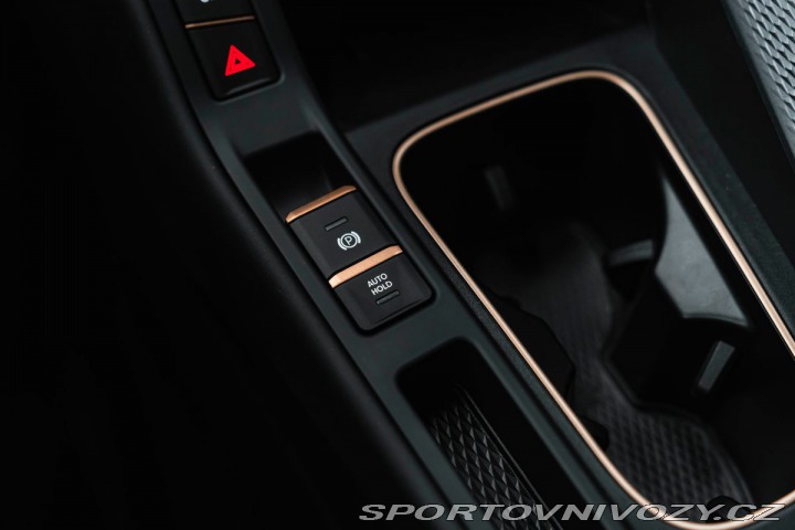 Cupra Ostatní modely 2.0 TSI 195 kW 4Drive VZ, 2024