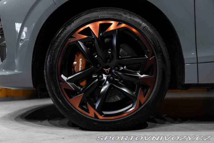 Cupra Ostatní modely 2.0 TSI 195 kW 4Drive VZ, 2024