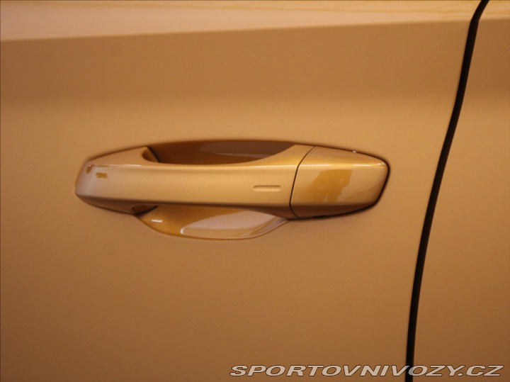 Škoda Ostatní modely Kamiq 1,0 TSi DSG Monte C. DCC 2024