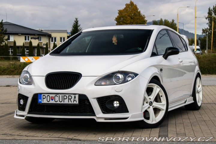 Seat Leon Cupra 2.0 TSI 177kw / AJ 2009