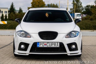 Seat Leon Cupra 2.0 TSI 177kw / AJ 2009
