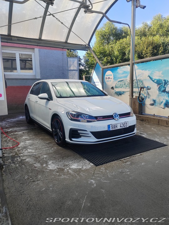Volkswagen Golf Gti Performance 2019