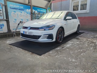 Volkswagen Golf Gti Performance 2019