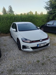 Volkswagen Golf Gti Performance 2019