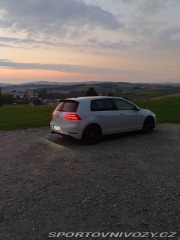 Volkswagen Golf Gti Performance 2019