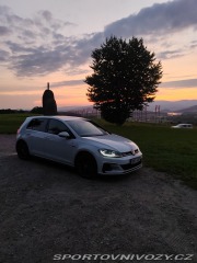 Volkswagen Golf Gti Performance 2019