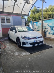 Volkswagen Golf Gti Performance 2019
