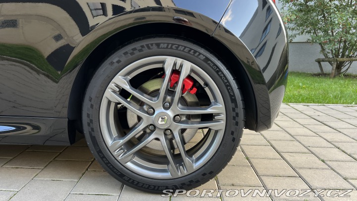Renault Clio Sport RS CUP light verze 2012