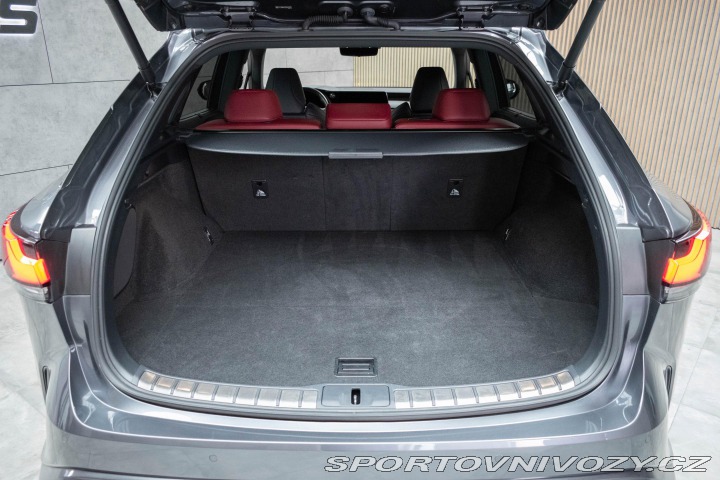 Lexus Ostatní modely RX 500h RX 500h*REZERVACE* 2023