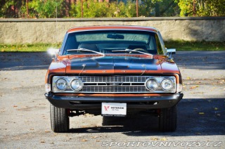 Ford Ostatní modely Fairlane 1968
