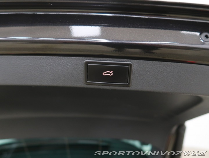 Škoda Octavia RS RS RS 2.0 TDI 4x4 2021