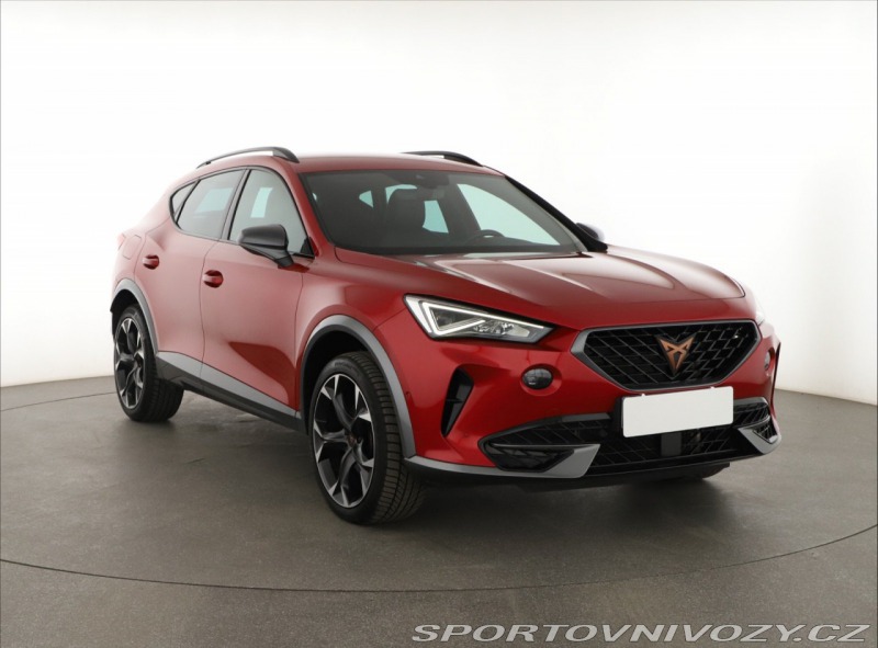 Cupra Formentor Business 2.0 TSI 4Drive