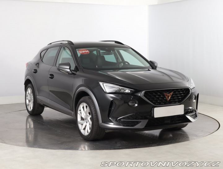 Cupra Formentor 2.0 TSI 4Drive 2022