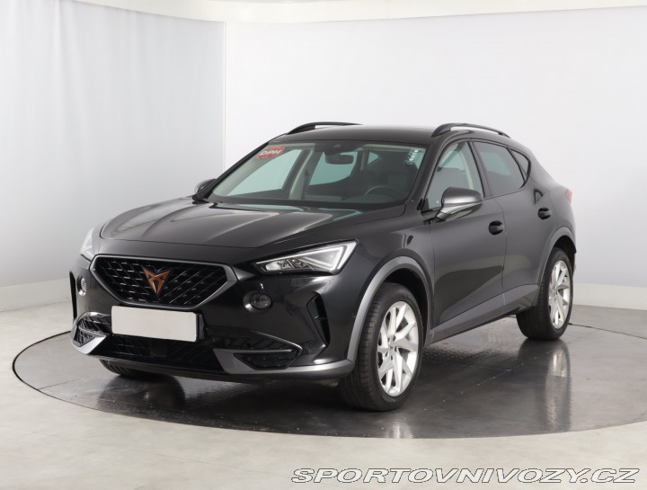 Cupra Formentor 2.0 TSI 4Drive 2022