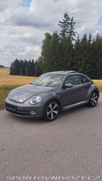 Volkswagen Beetle 