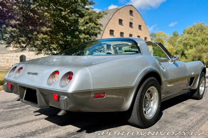 Chevrolet Corvette VI 1978