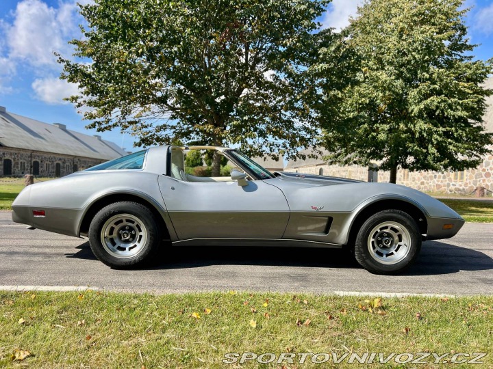 Chevrolet Corvette C3 1978