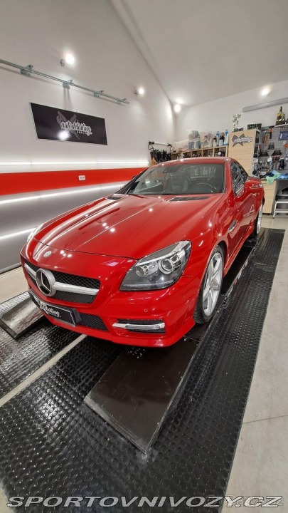 Mercedes-Benz SLK 2,5 250 2011