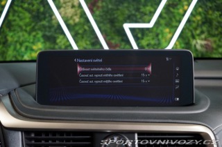 Lexus RC 4X4*CVT*LIMITED*DRCC 2022