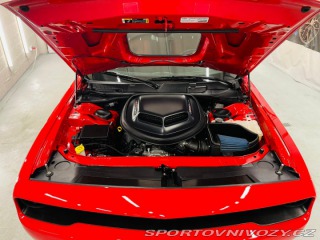 Dodge Challenger 6.4 R/T Scatpack Shaker 2021