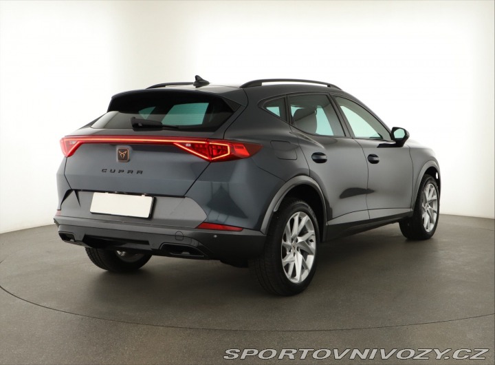 Cupra Formentor Business 2.0 TDI 2024
