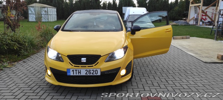 Seat Ibiza CUPRA 2010