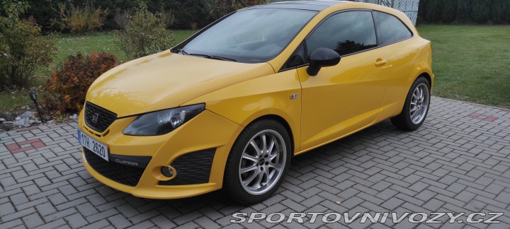 Seat Ibiza CUPRA 2010