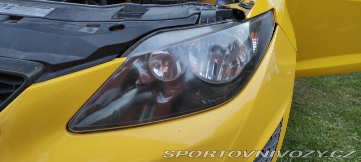 Seat Ibiza CUPRA 2010