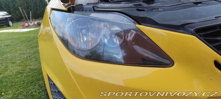 Seat Ibiza CUPRA 2010