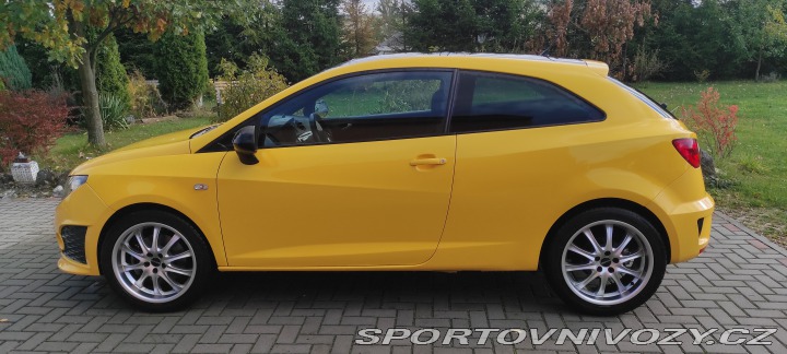 Seat Ibiza CUPRA 2010