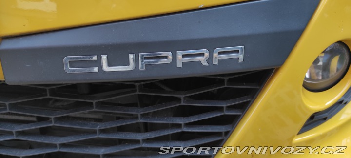 Seat Ibiza CUPRA 2010