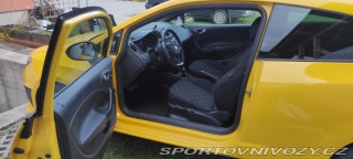 Seat Ibiza CUPRA 2010