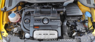 Seat Ibiza CUPRA 2010