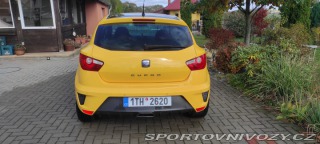 Seat Ibiza CUPRA 2010