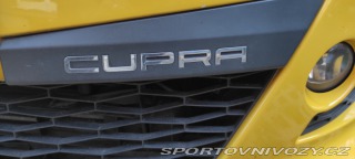 Seat Ibiza CUPRA 2010