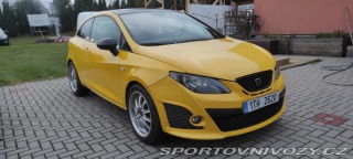 Seat Ibiza CUPRA 2010