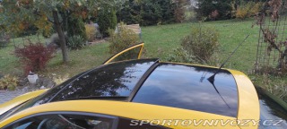 Seat Ibiza CUPRA 2010