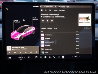 Tesla Model 3 Std Range Plus LFP 2021