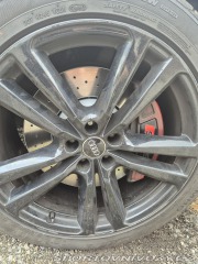 Audi SQ5  2013
