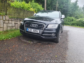 Audi SQ5  2013
