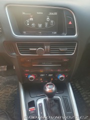 Audi SQ5  2013