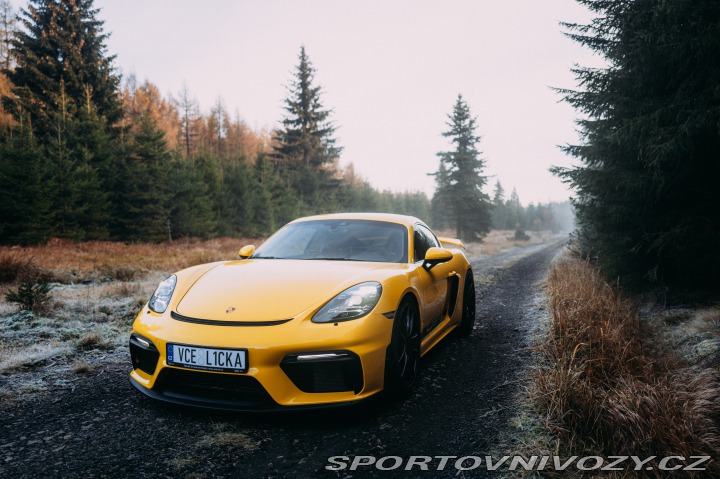 Porsche 718 GT4 2020