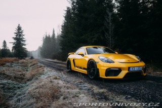 Porsche 718 GT4 2020