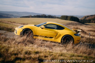 Porsche 718 GT4 2020