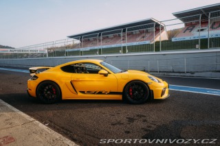 Porsche 718 GT4 2020