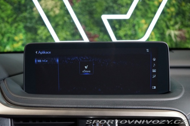Lexus RC 4X4*CVT*LIMITED*DRCC 2022