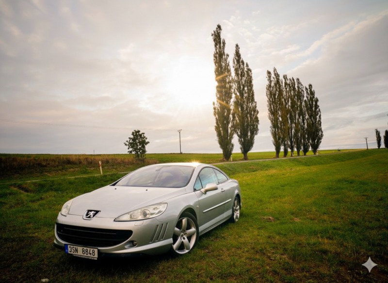 Peugeot 407 Coupé 2.7 HDI V6