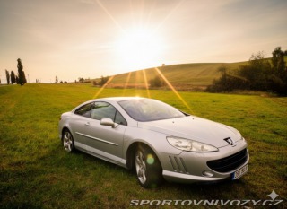 Peugeot 407 Coupé 2.7 HDI V6 2009