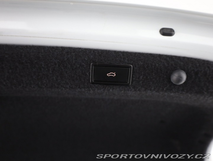 Škoda Octavia RS RS RS 2.0 TSI 2021