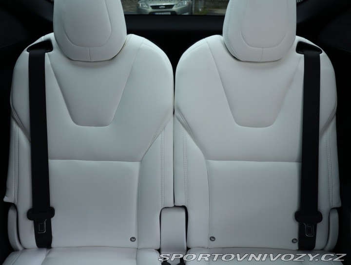 Tesla Model X 100D 2018